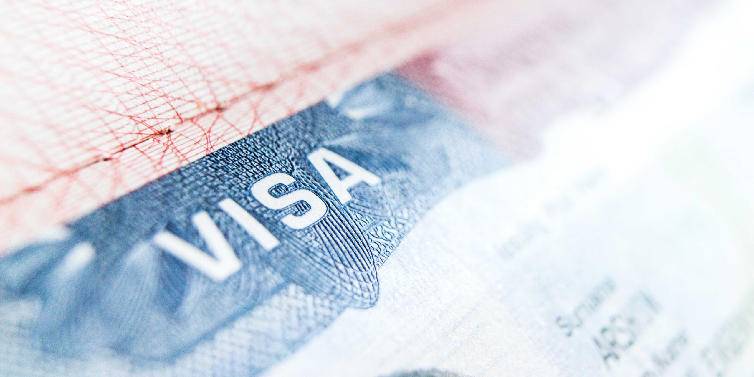 Understanding the Employment Visa in the UAE: A Complete Guide 3 employment visa